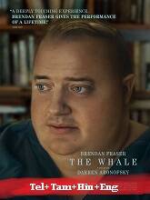 The Whale